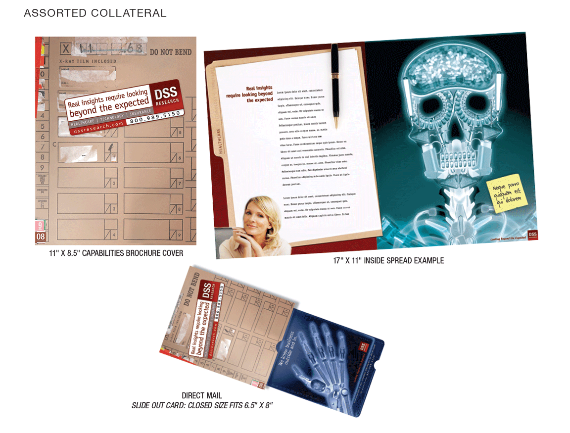1152x875 @72dpi-RGB_0009_DSS-Collateral