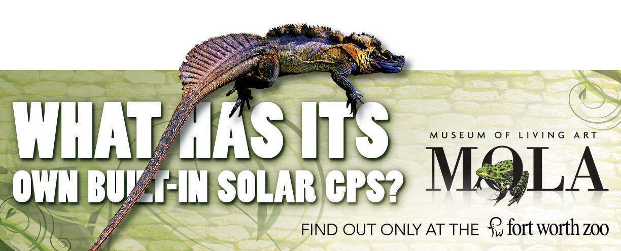 MOLA_Riddle GPS_14x48_v3