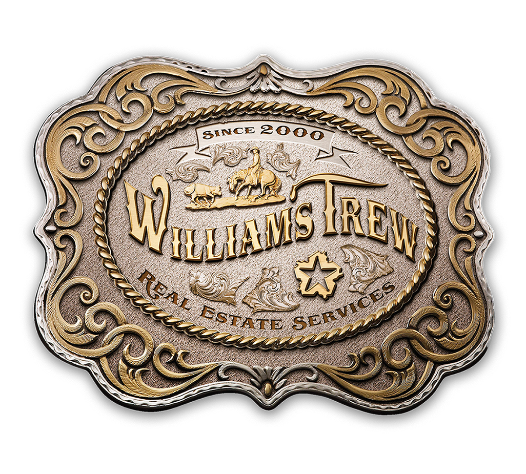 WilliamsTrewRodeoBeltBuckleArt KO-Bkgd-sm