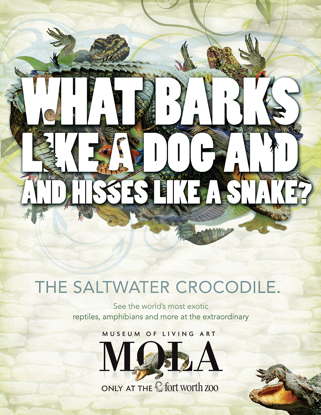 ad dss-Concept%28X-ray%20Skull%29_rgb-sm