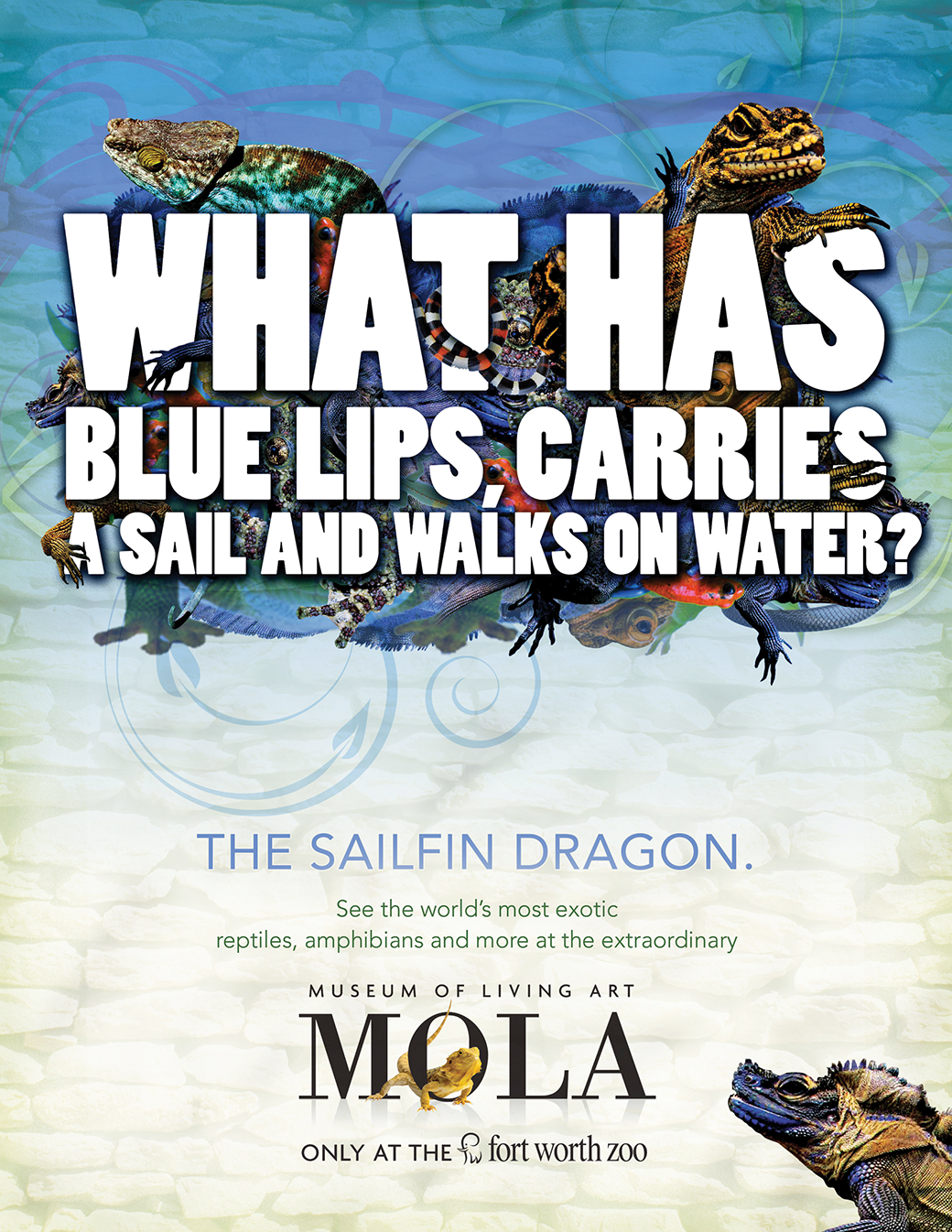 ad dss-Concept%28X-ray%20Foot%29_rgb-sm