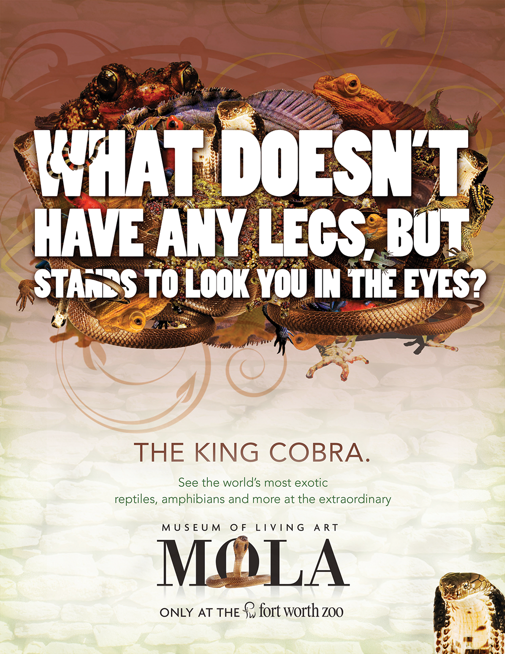 ad dss-Concept%28X-ray_Hand%29_rgb-sm