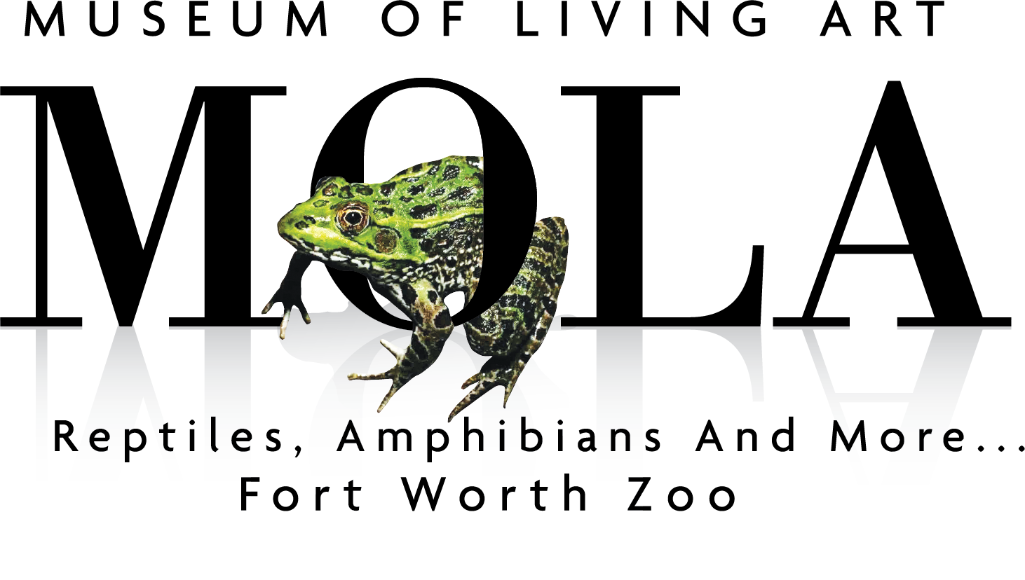 fw zoo-MOLA-logo%28frog%29